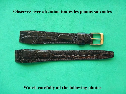 Crocodile veritable - 16,