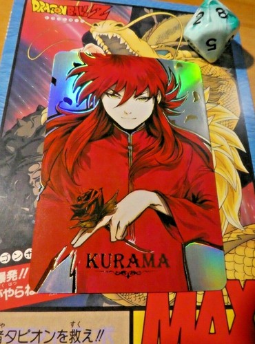 Yuyu hakusho anime - hakusho, acg