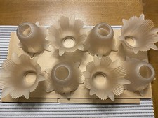 8 Tulipes Anciennes Verre