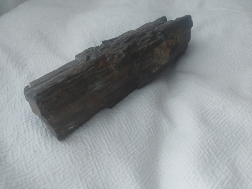 Bois fossilise kg - ,, 25