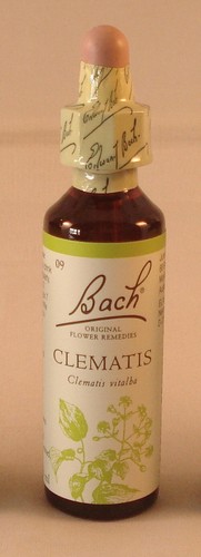 Remèdes fleurs bach - de,