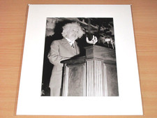 LUMAS Photo Image - Albert