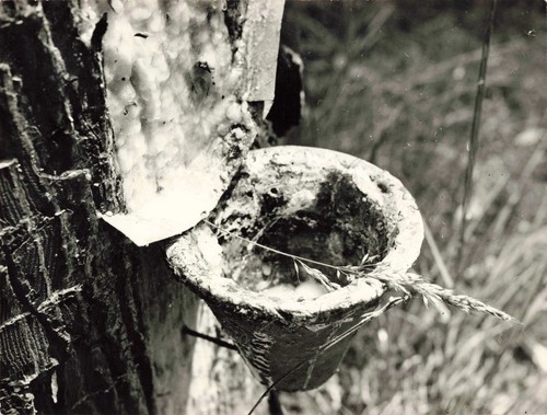 Ancienne photographie vers - photographie,