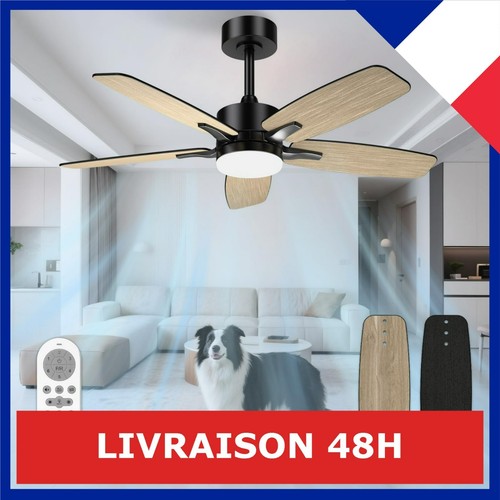 Ventilateur plafond silencieux - ventilateur,