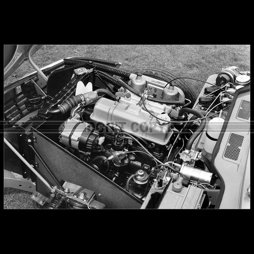 Photo 007629 triumph - photo,