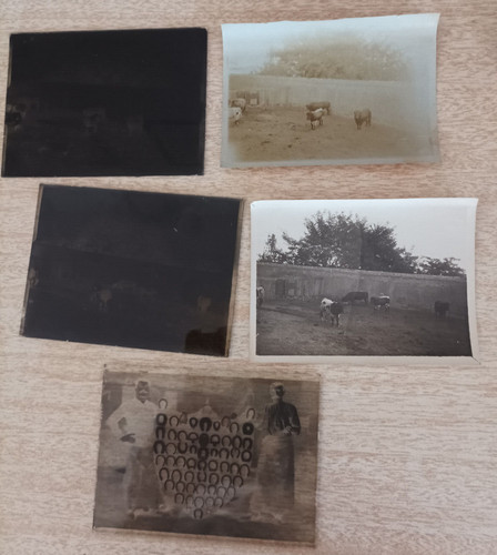 Photos sur verre beziers - photos,