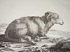 Gravure du 19ème siècle