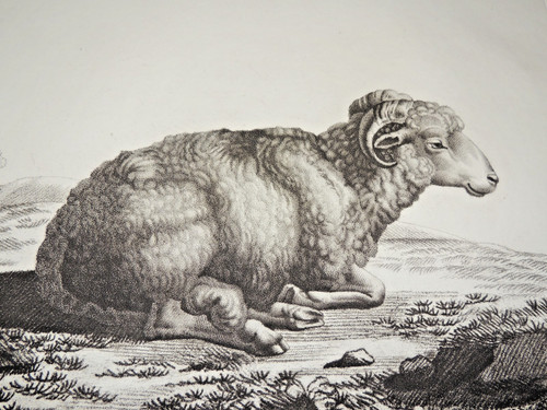 Gravure 19ème siècle - gravure,