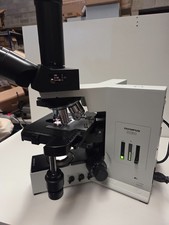 microscope OLYMPUS BX50F4