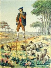 FOLKLORE - BERGER LANDAIS sur