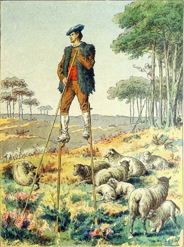 Folklore berger landais sur - -,