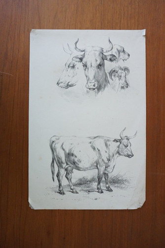 Victor adam litho - victor,