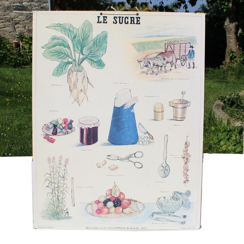 Affiche pédagogique le - pédagogique,