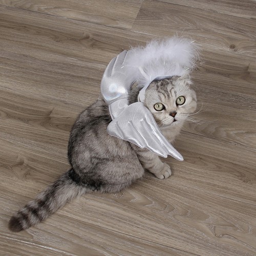 Ange deguisement déguisement - deguisement,