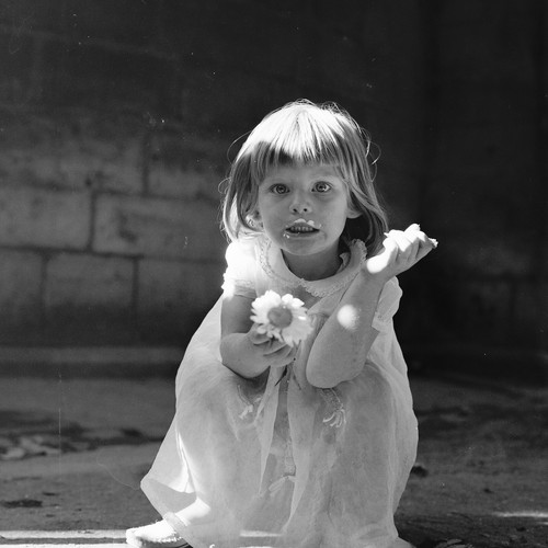 Photo papier argentique - photo,