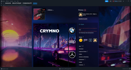 Compte steam plus 400 - compte, euro