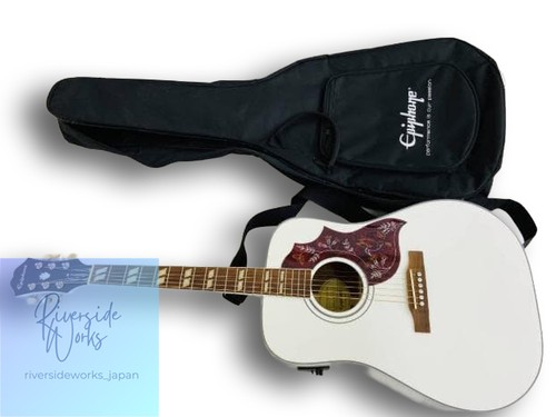 Couleur limitée hummingbird - couleur,