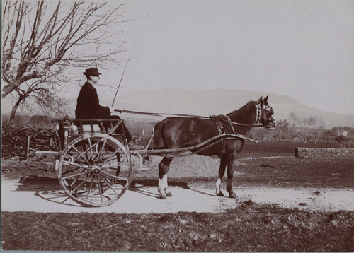 France voiture cheval - voiture,