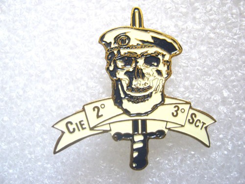 Insigne regiment chasseurs - insigne, de