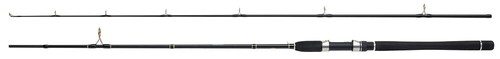 Canne pêche cible wft - canne,