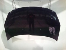 Capot PEUGEOT 206+ 7901R5