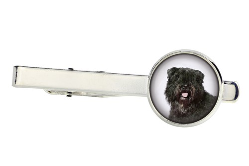 Bouvier des flandres - flandres, épingle