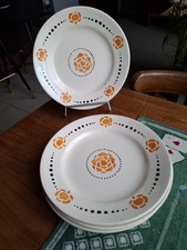 Lot De 5 assiettes Plates