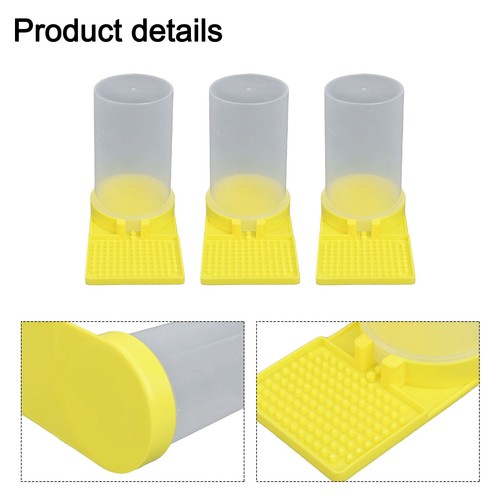 Colonie abeilles abeille - d'abeilles,