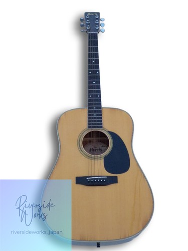 Guitare acoustique morris w25 - guitare,