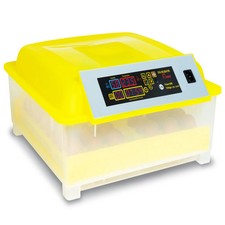 Couveuse automatique 48 oeufs