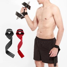 Entraînement Musculation