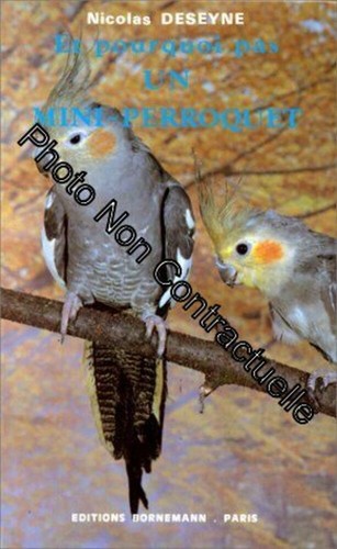 Pourquoi pas un - pas,