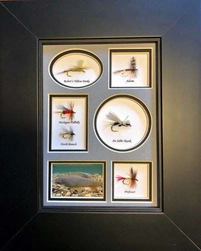 Framed and mounted trout - 6,