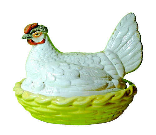 Poule boite a oeufs - poule,