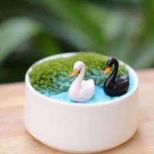 20 Pcs Cygne Miniature