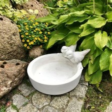 Bol boire oiseau - oiseau, bain