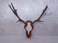 Q82qkd bois hirsch - q82qkd,