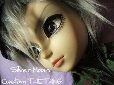 Poupée militaire Silver Moon