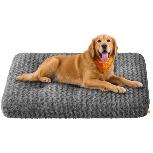 Panier pour chien taille - pour,