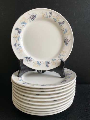 Lot 11 assiettes à - 11,