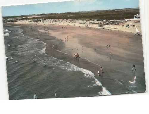 Les sables vigniers - les, sables-vigniers