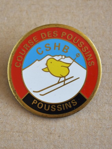 Joli insigne broche - insigne, médaille