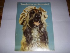 CP CARTE POSTALE MESSAGE TOUJOURS RAVISSANTE - CHIENNE - ECRITE en 1987