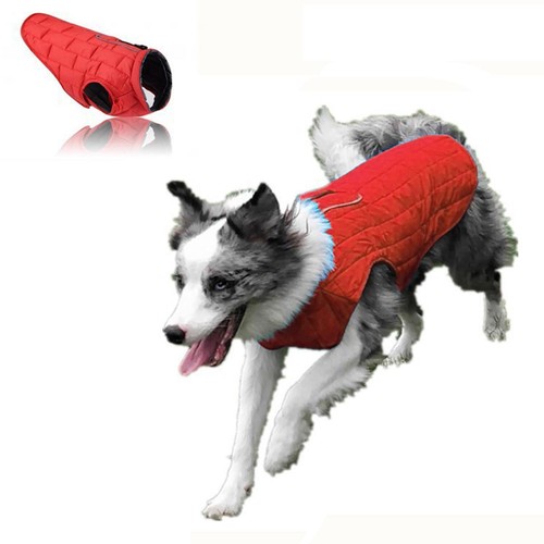 Manteau hiver pour - pour, chiens
