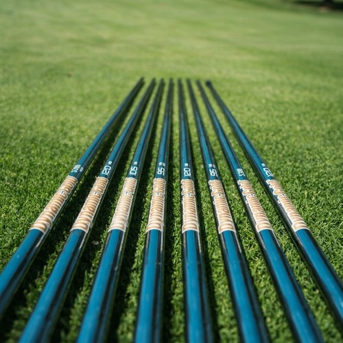 True temper dynamic gold - dynamic,