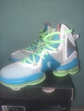 Nike Sneaker Lebron James