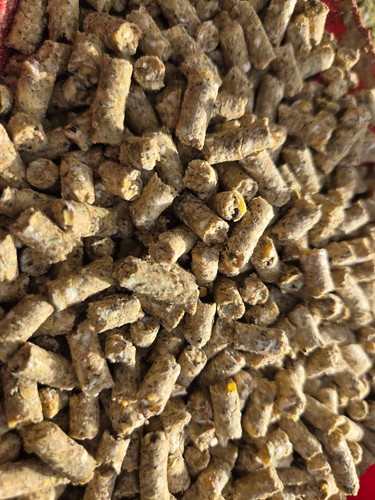 Pellets carpe complet - kg,
