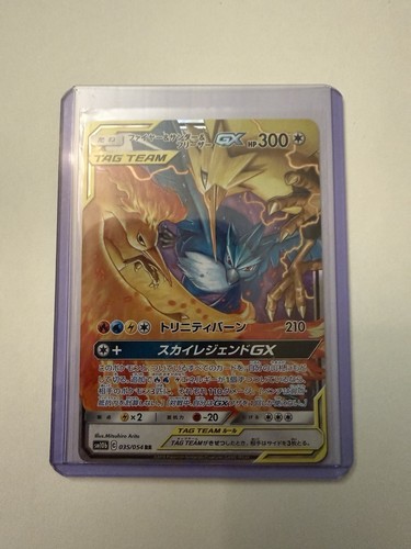 Carte pokémon promo - pokémon,