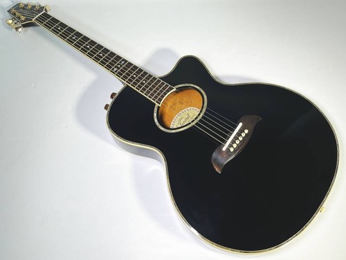 Guitare électrique acoustique