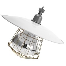 Lampe Chauffante Des Couvées
